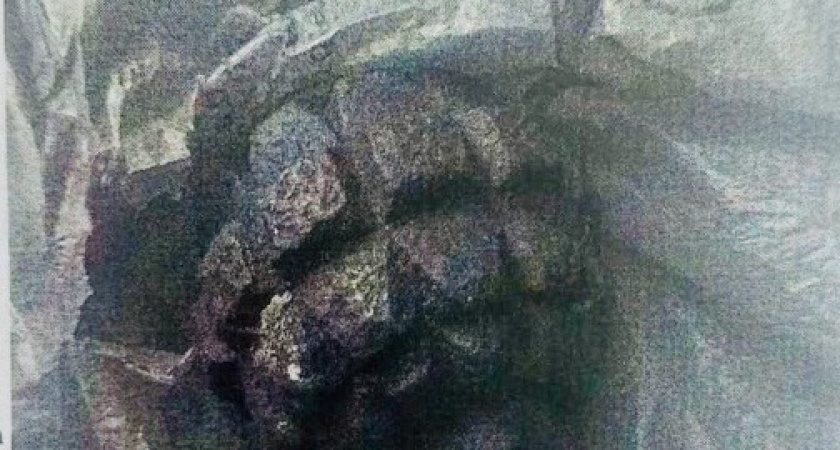 Жителя Староюрьевского округа будут судить за хранение боеприпасов и холодного оружия