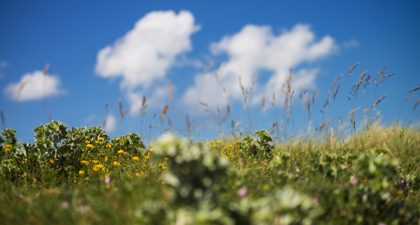 В Тамбове дожди сменятся солнцем: прогноз погоды на 18–20 августа