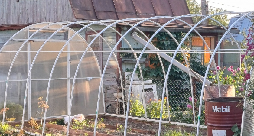 Японцы хватаются за головы при виде русских дач: для них это непозволительная роскошь