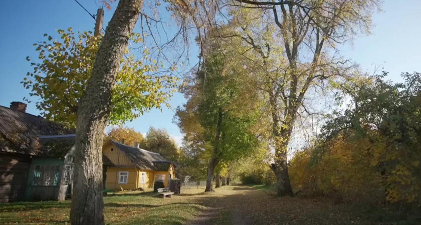Россиянка побывала в белорусской деревне и на каждом шагу не могла сдержать эмоций: у нас все не так
