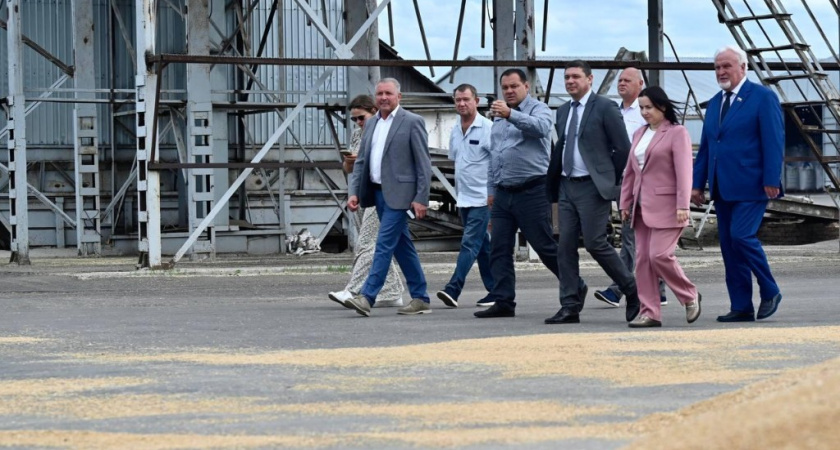 Евгений Первышов в Мучкапском округе обсудил с аграриями ход уборки урожая