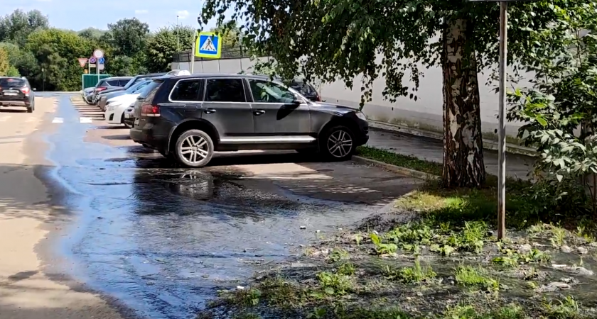 Тамбовчане месяцами живут с прорывами канализации и запахом из коллектора