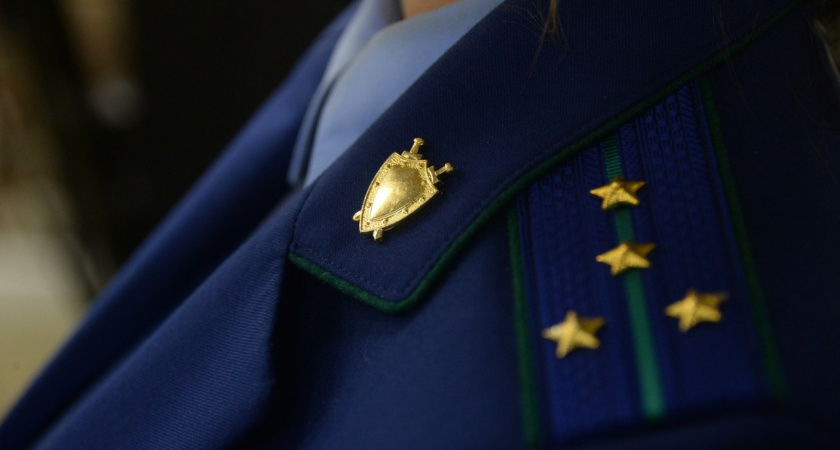 СК возбудит дело после жалобы многодетной матери из Тамбовской области на отказ в выплатах