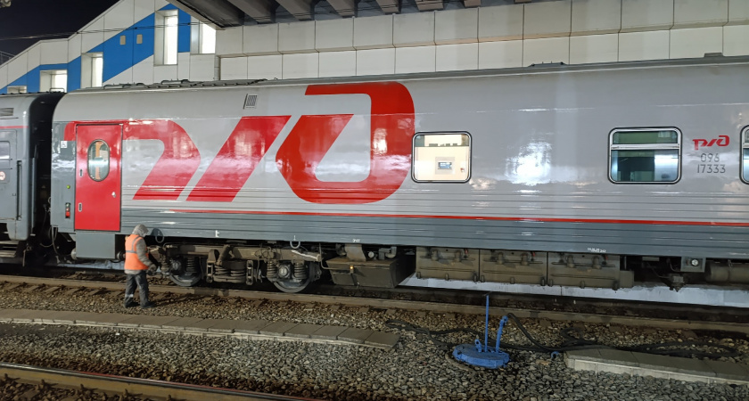 Дети 20 часов ехали в поезде рядом с впавшей в кому матерью  — а проводникам было плевать