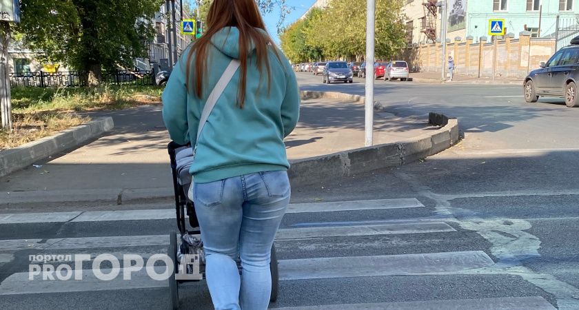 «Зачем столько рожала?»: В Тамбовской области разразился скандал из-за хамства в адрес матери 10 детей