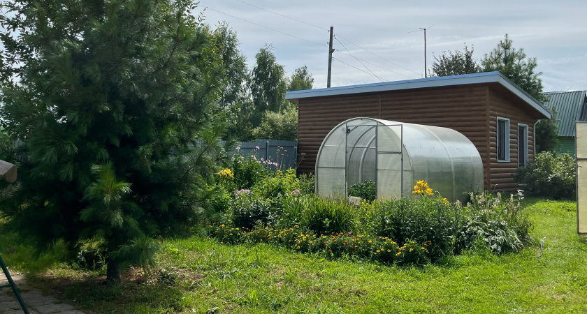 Осенью рассыпаю эту смесь на грядки в теплице — летом собираю шикарный урожай: гениальное удобрение для бедных почв