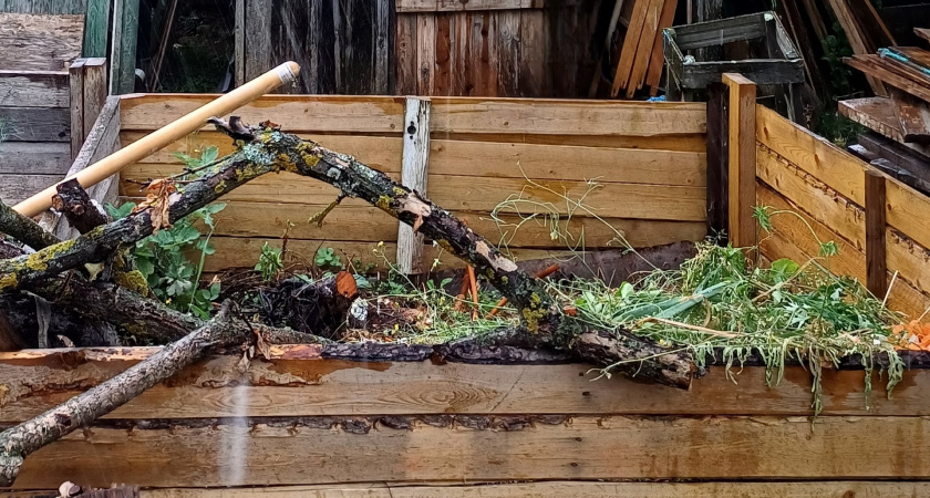 Три ложки на кучу — и перегниют даже толстые ветки: быстрый компост без большого труда — земля будет как хлеб