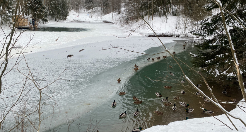 Климатолог дал пугающий прогноз: зимы "как раньше" больше не будет