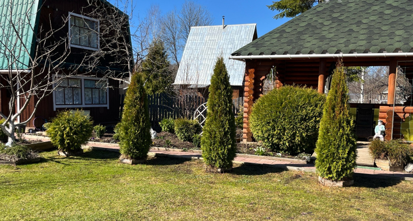 "Ошибки молодости" садовода: растения, которые я бы теперь ни за что не посадила на даче — опыт, омытый слезами