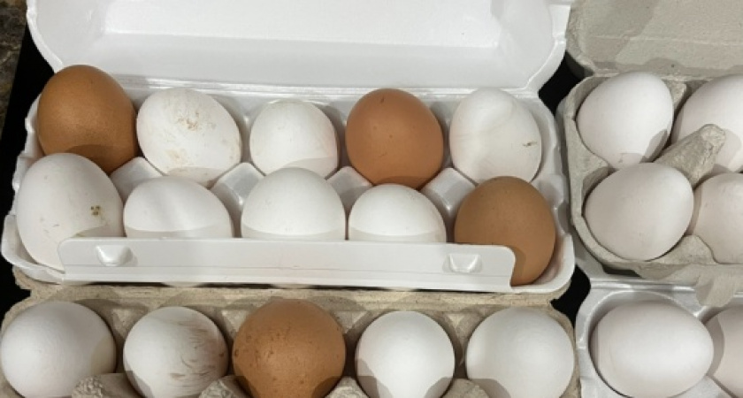 Больше никогда не положу яйца в холодильник в упаковке — продавец с рынка раскрыла один секрет
