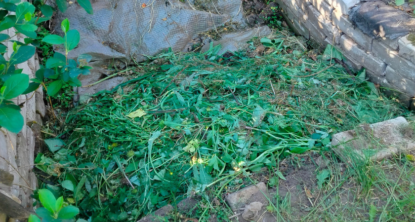 Перестал бесконечно ждать компост: 5 секретов, как приготовить отменный чернозём за один год — вместо трёх