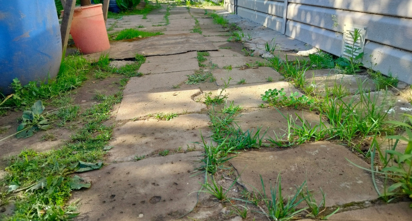 Почему в США нет сорняков на дорожках из плитки: мы боремся - а они решают проблему до её появления