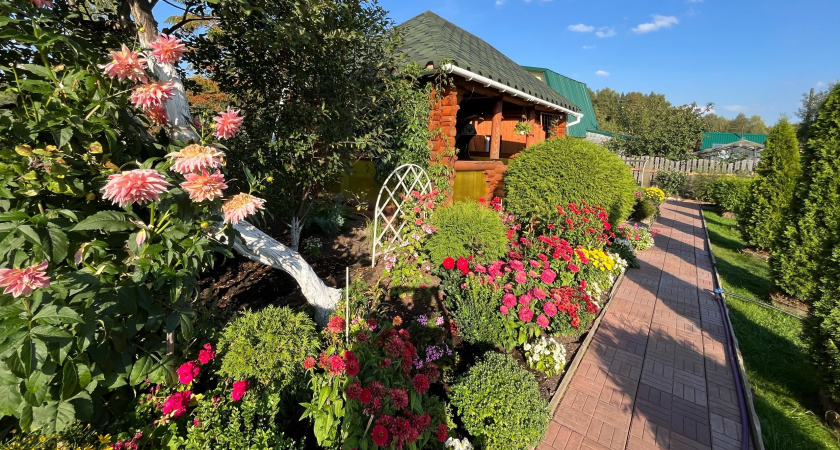 Про эти дачные цветы все забыли — а зря, украсят ваш участок на много лет: обязательно сажайте