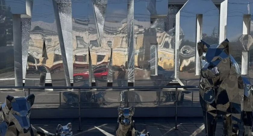 Тамбовская "Волчья семья" стала больше: появились новые волчата