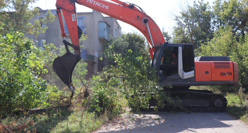 В Уварово потратят 3 миллиона рублей на борьбу с зарослями