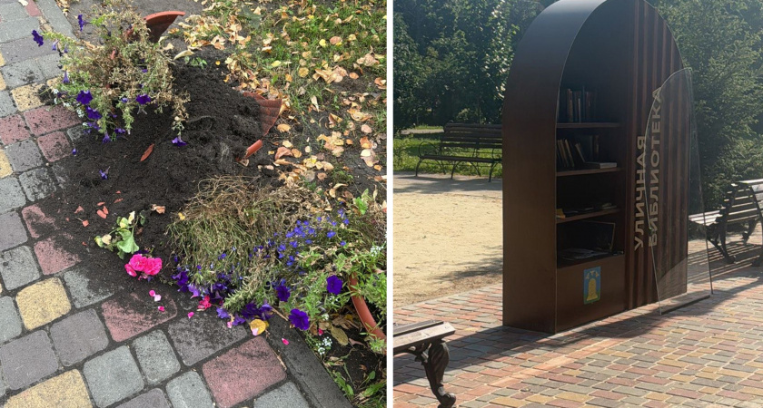 Вандалы повредили уличную библиотеку и цветочные композиции в парке Тамбова