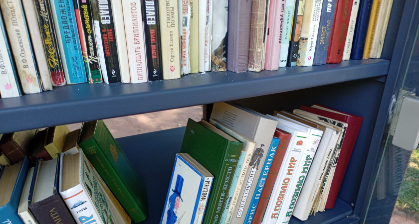 В сквере Боратынского пополнился книжный шкаф для буккроссинга