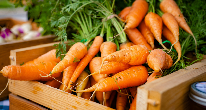 Как правильно хранить морковь: советы и лайфхаки