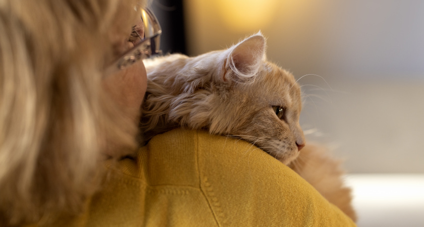 Не страдают "кошачьим эгоизмом": пушистики каких пород считаются самыми ласковыми и преданными 