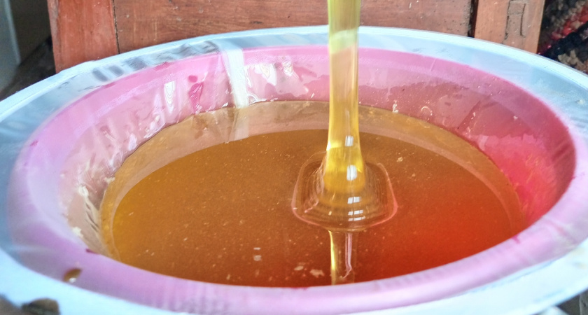 Как отличить настоящий мед от подделки: запомните 2 простых теста - еще дедушка научил