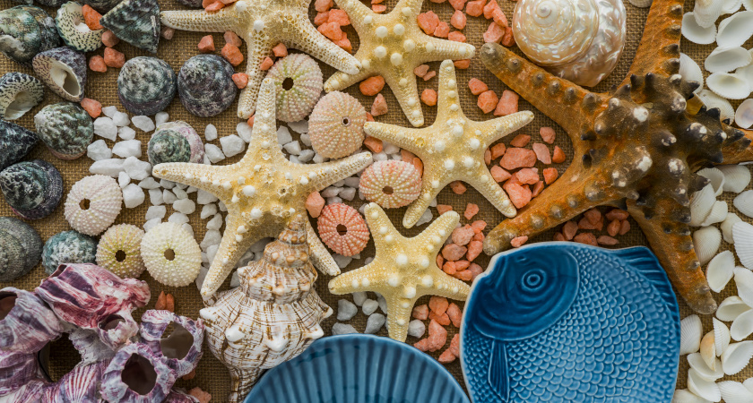 Один "невинный" сувенир обернется кошмаром: что нельзя привозить из отпуска за границей - список, о котором стоит знать