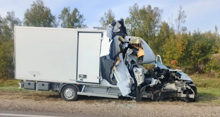 В Тамбовской области водитель иномарки сбил мужчину, ремонтировавшего свою машину