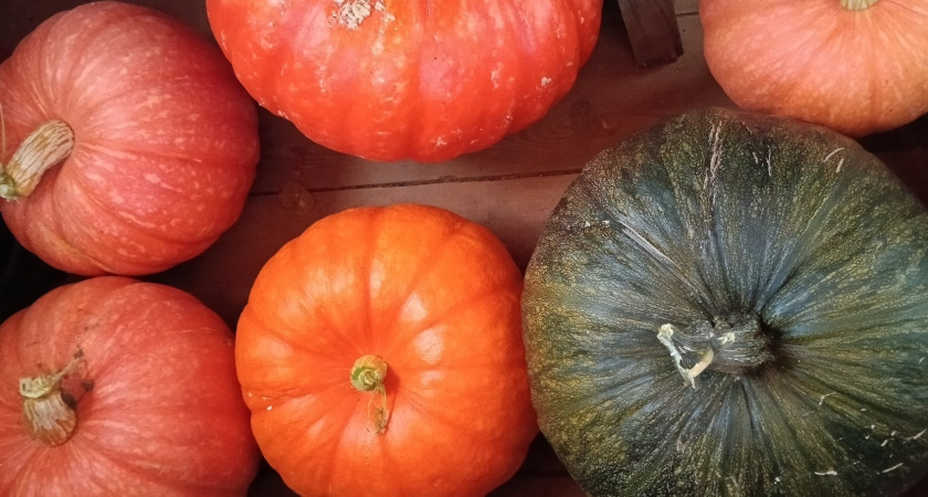 Такую вкусную тыкву полюбит вся семья: просто не делайте эти 3 ошибки при готовке 