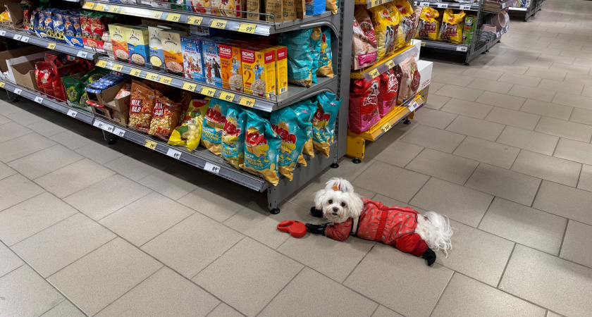 Кассиры "Пятерочки" будут обязаны выдать вам наличиные при покупке картой: запомните фразу, чтобы сказать ее продавцу в нужный момент