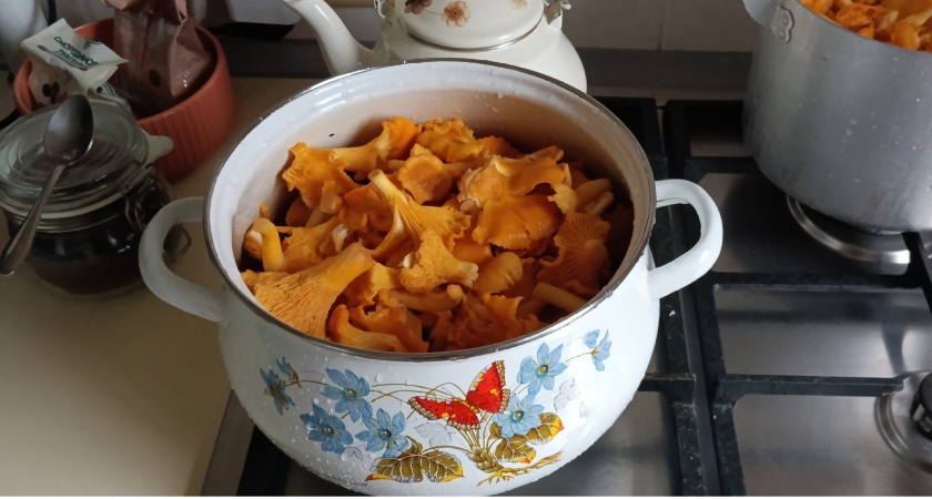 Добавляем грибы лисички - и в духовку: секрет обалденной картофельной запеканки с ароматом леса - вся семья просит добавки