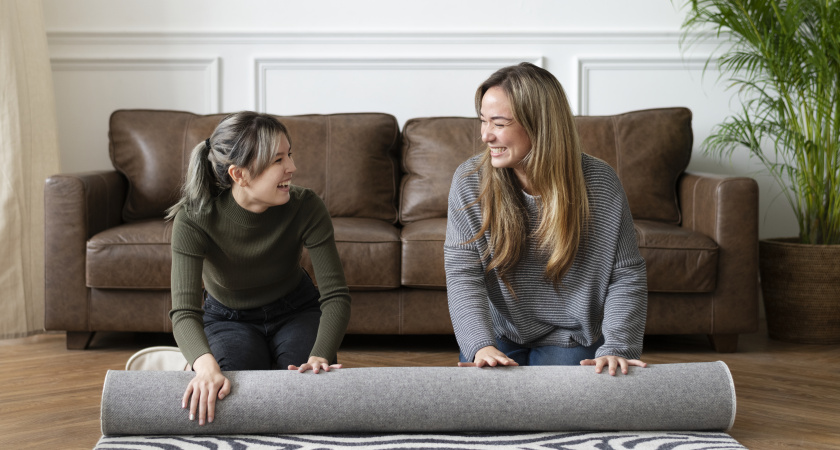 Пылесос стоит без дела — вот чем теперь чищу: всю кошачью шерсть с ковра как корова языком слизнула 