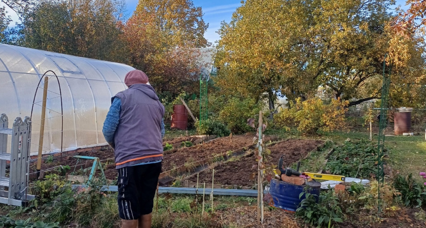 Не сажайте сидераты осенью после уборки урожая: не работают - правда, о которой мало кто знает и говорит