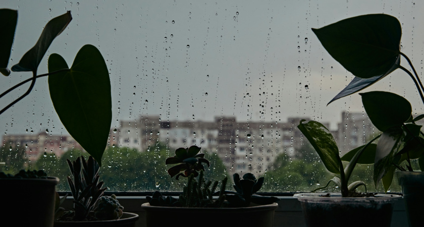 В Тамбове выходные будут дождливыми: прогноз погоды на 27–28 сентября