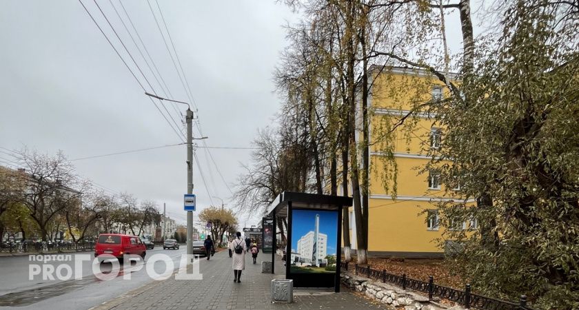 Погода в Тамбове на выходные