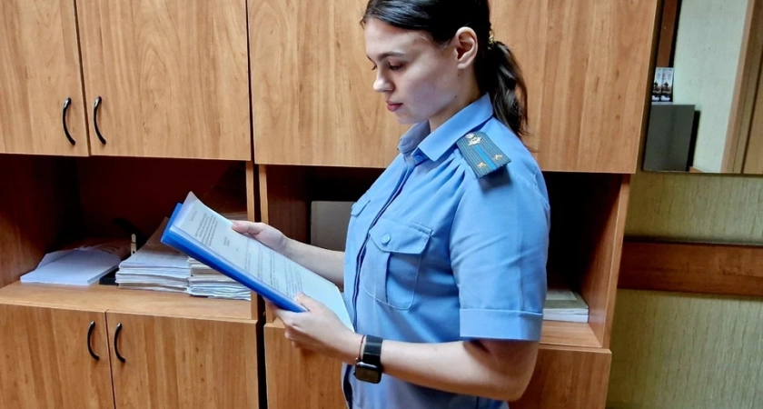 Житель Тамбова заплатил 500 000 рублей за алименты после 20 часов исправительных работ