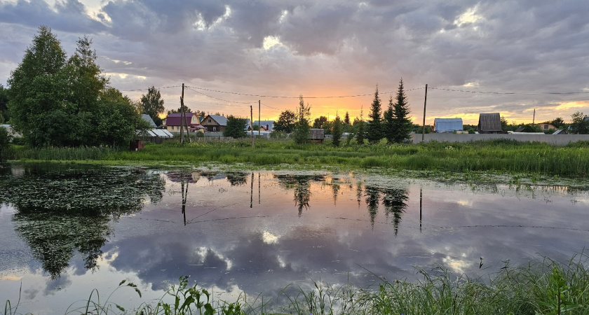 Научились зарабатывать 100 000 в месяц в деревне: друзья из города обзавидовались - начали тоже себе дом присматривать