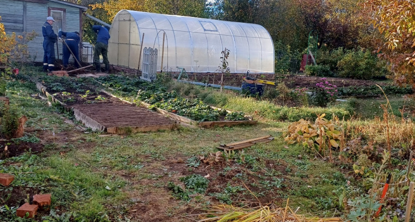 Охапка на грядку осенью - и земля на будущий год как чернозем: готовим почву для щедрого урожая