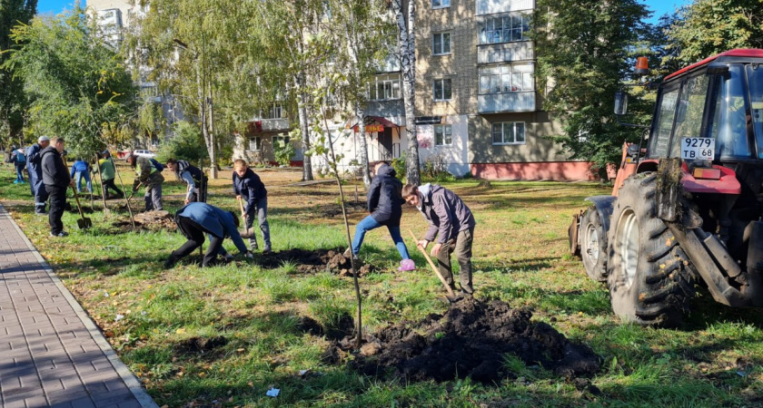 В Тамбове в рамках акции «Зелёный пояс» высадили 50 новых деревьев