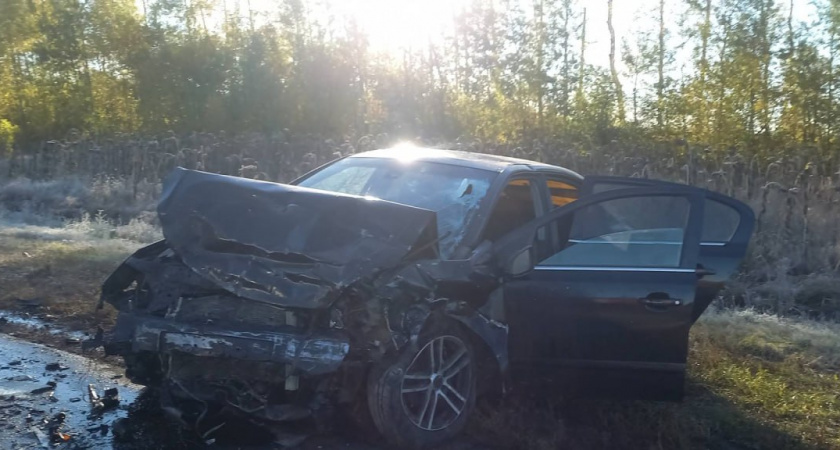 Смертельное ДТП произошло на трассе «Тамбов – Пенза» в Пичаевском округе