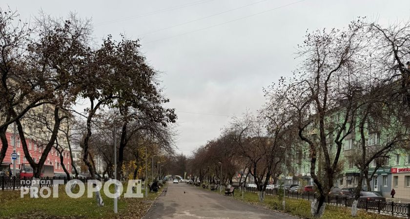 Погода в Тамбове в субботу, 3 октября