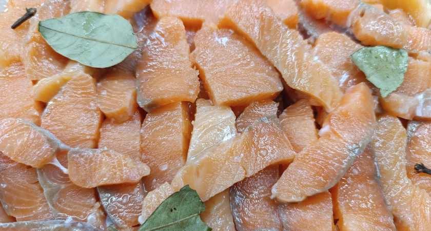 Как солить горбушу, чтобы получилась безупречной: золотая пропорция правильного посола от опытного рыболова