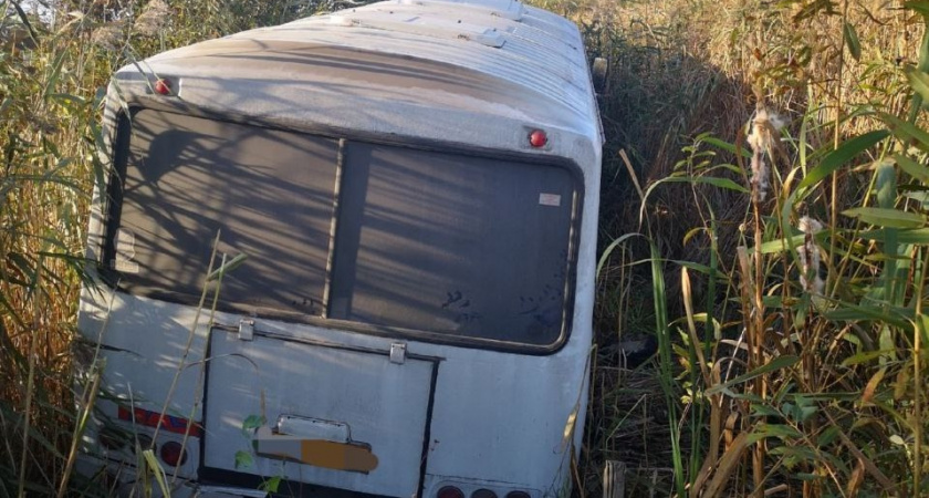 Под Мичуринском рейсовый автобус оказался в кювете: есть пострадавшие