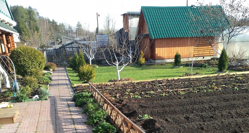 Устроил на даче "вечный септик", который не придется откачивать. А всего-то и надо было в школе учить биологию