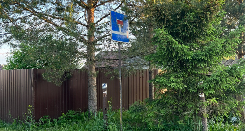 Сосед сдвинул забор на метр, "подарив" мне кусок земли: весной я понял, в чем подвох - теперь не знаю, как решить проблему