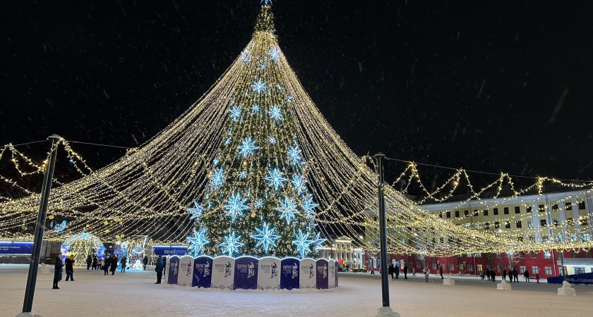 В Тамбовской области начали готовится к встрече Нового 2026 года