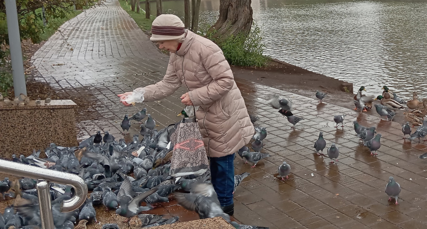 Не просите никогда и ничего. Даже у самых близких. Даже у детей