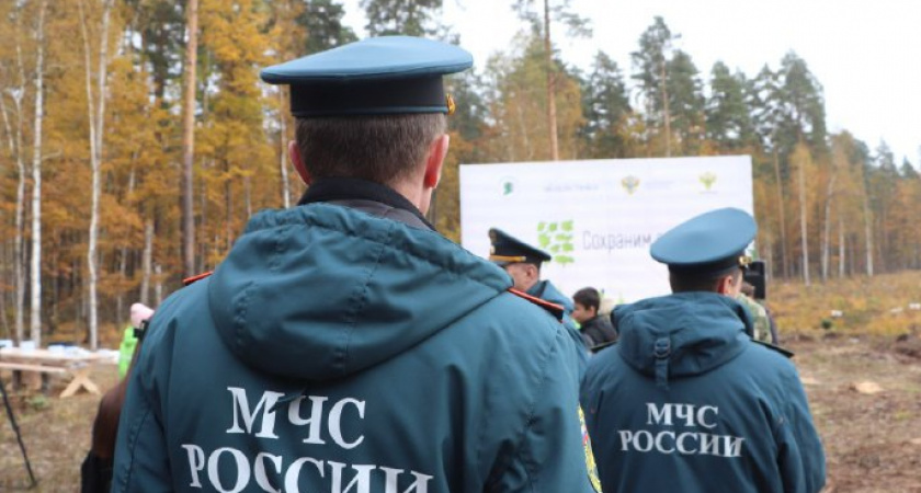 Тамбовские спасатели высадили более восьми тысяч саженцев в рамках акции «Сохраним лес»