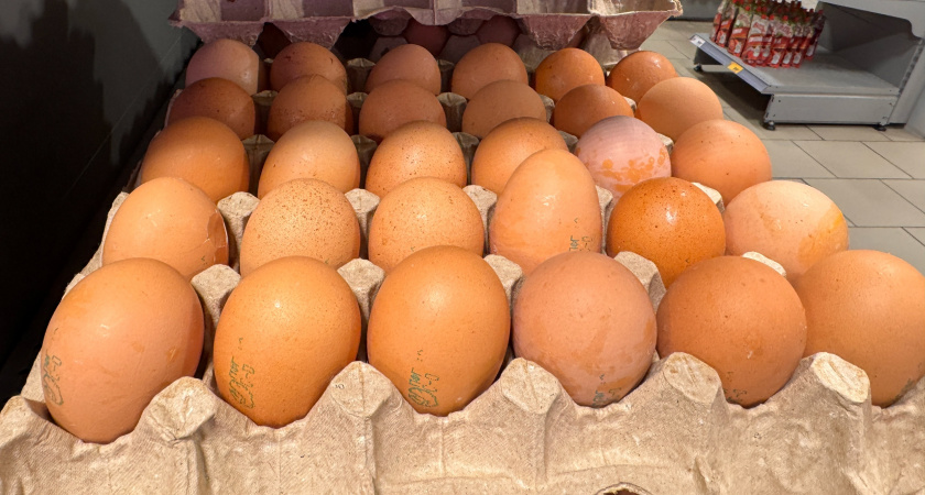 Умные продавцы выбирают себе домой только такие яйца - запоминайте 2 признака
