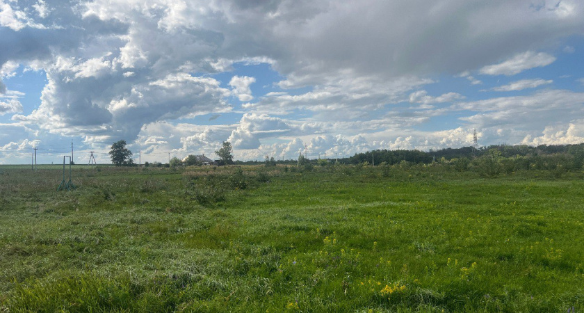 В Тамбовском районе экс-главу сельсовета обвиняют в незаконном отчуждении земли на сумму свыше 10 миллионов рублей