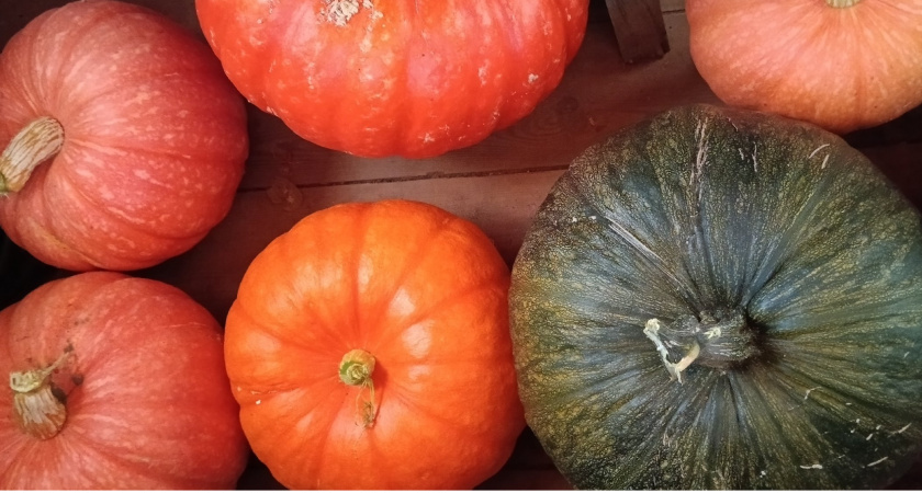 Идеальный осенний десерт - тыкву теперь полюбили все домашние: просто, быстро и невозможно вкусно