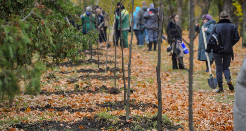 В Тамбове заложили Аллею Славы в честь погибших и пропавших без вести защитников страны